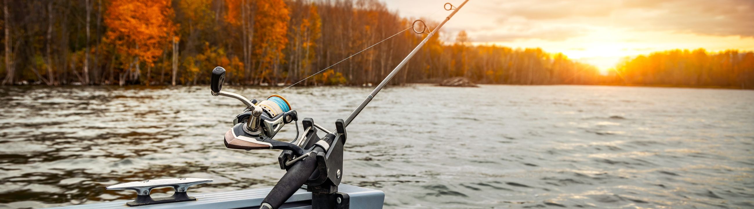 Rutenständer & Rutenhalter