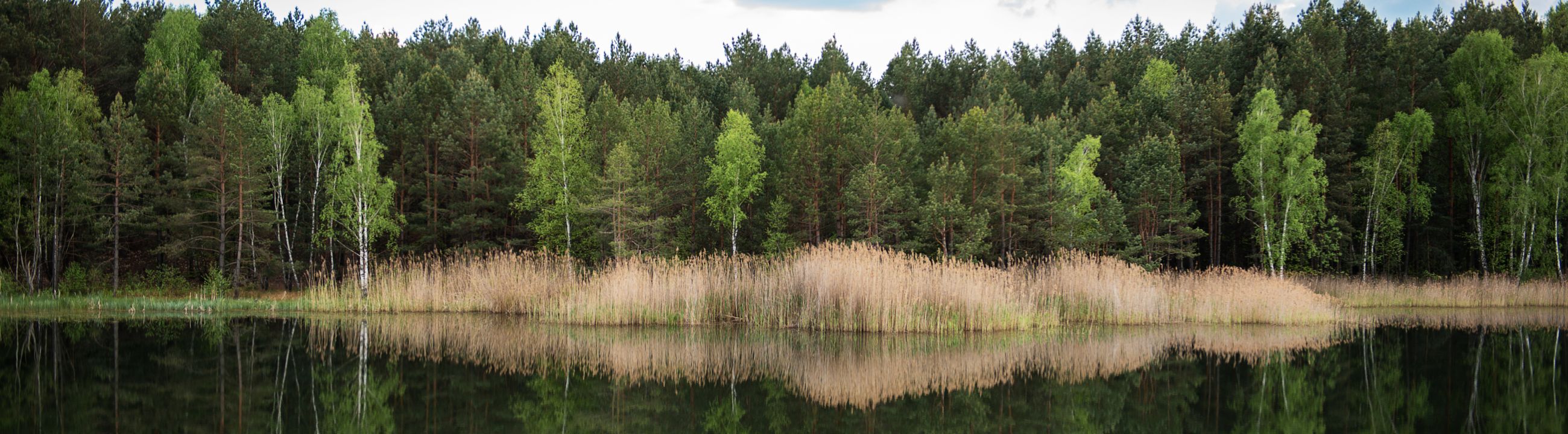 Skirted Jigs in Österreich bei HechtundBarsch.at