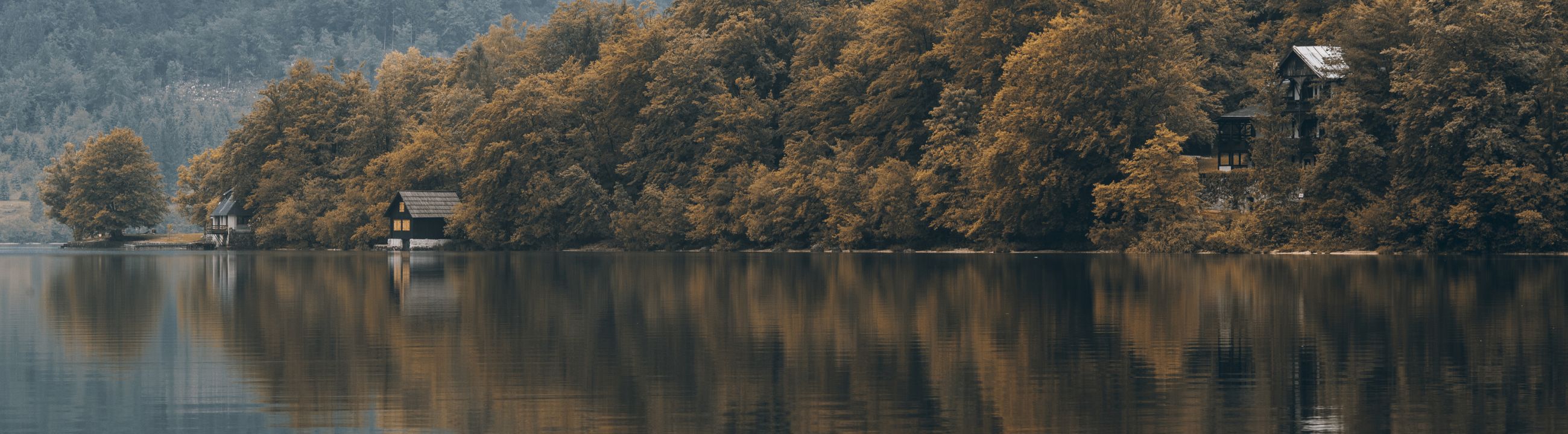 Spundwandkescher in Österreich bei HechtundBarsch.at