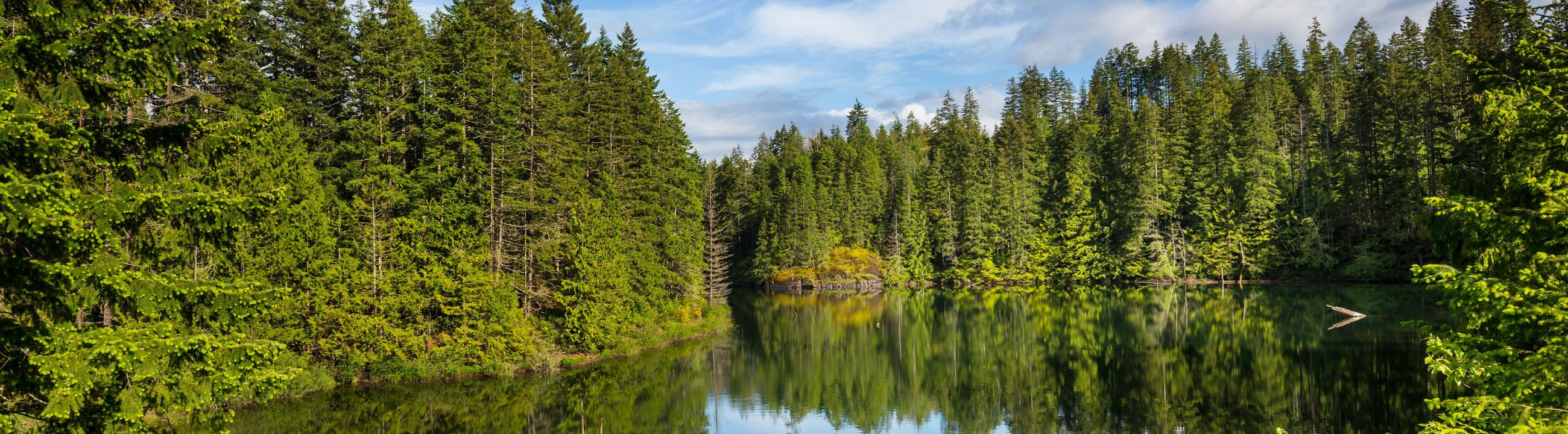 Stinger Keeper in Österreich bei HechtundBarsch.at