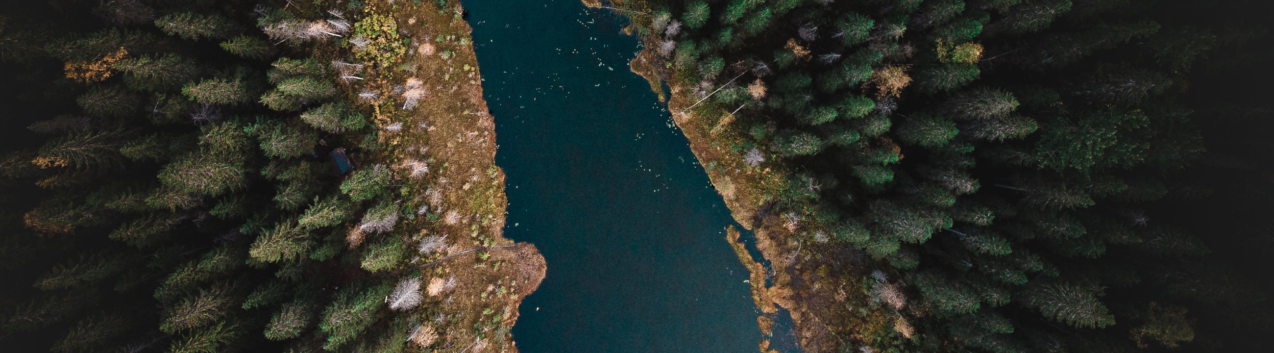 Vorfachschnur in Österreich bei HechtundBarsch.at