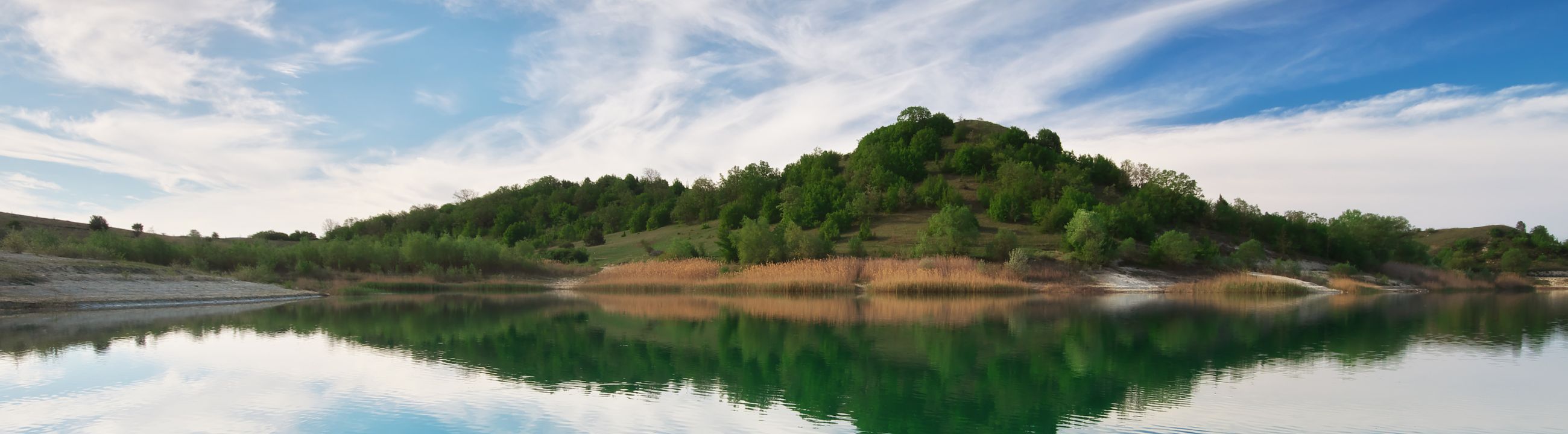 Welsköder in Österreich bei HechtundBarsch.at