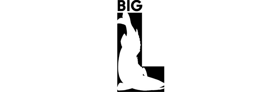 BIG L Angelruten