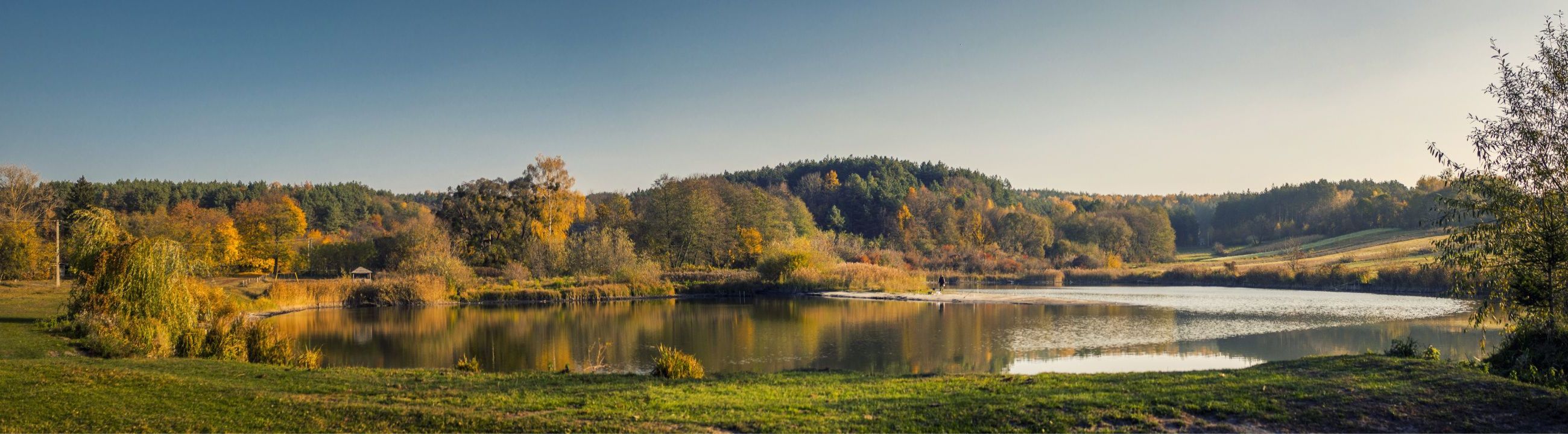 Fox Rage Köder in Österreich bei HechtundBarsch.at