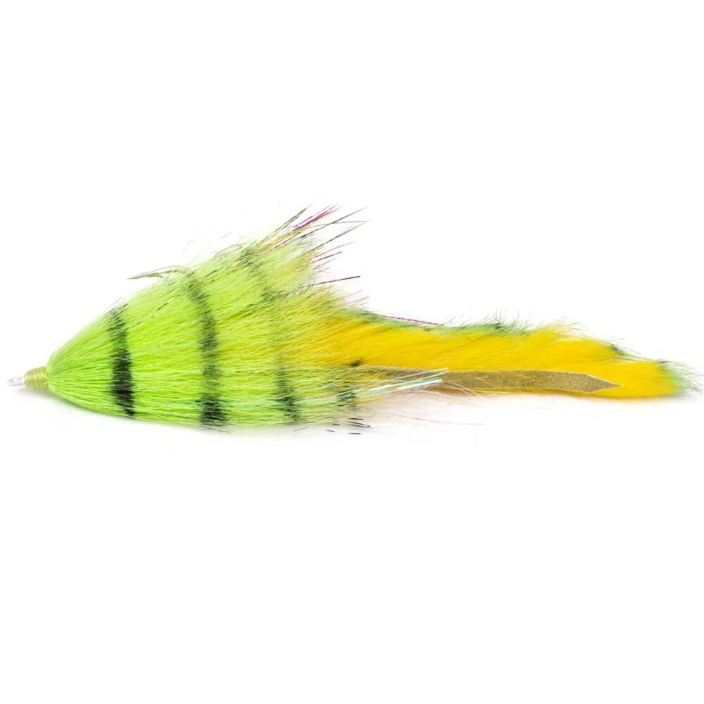 BIM Tackle CHACHA Trailer Firetiger