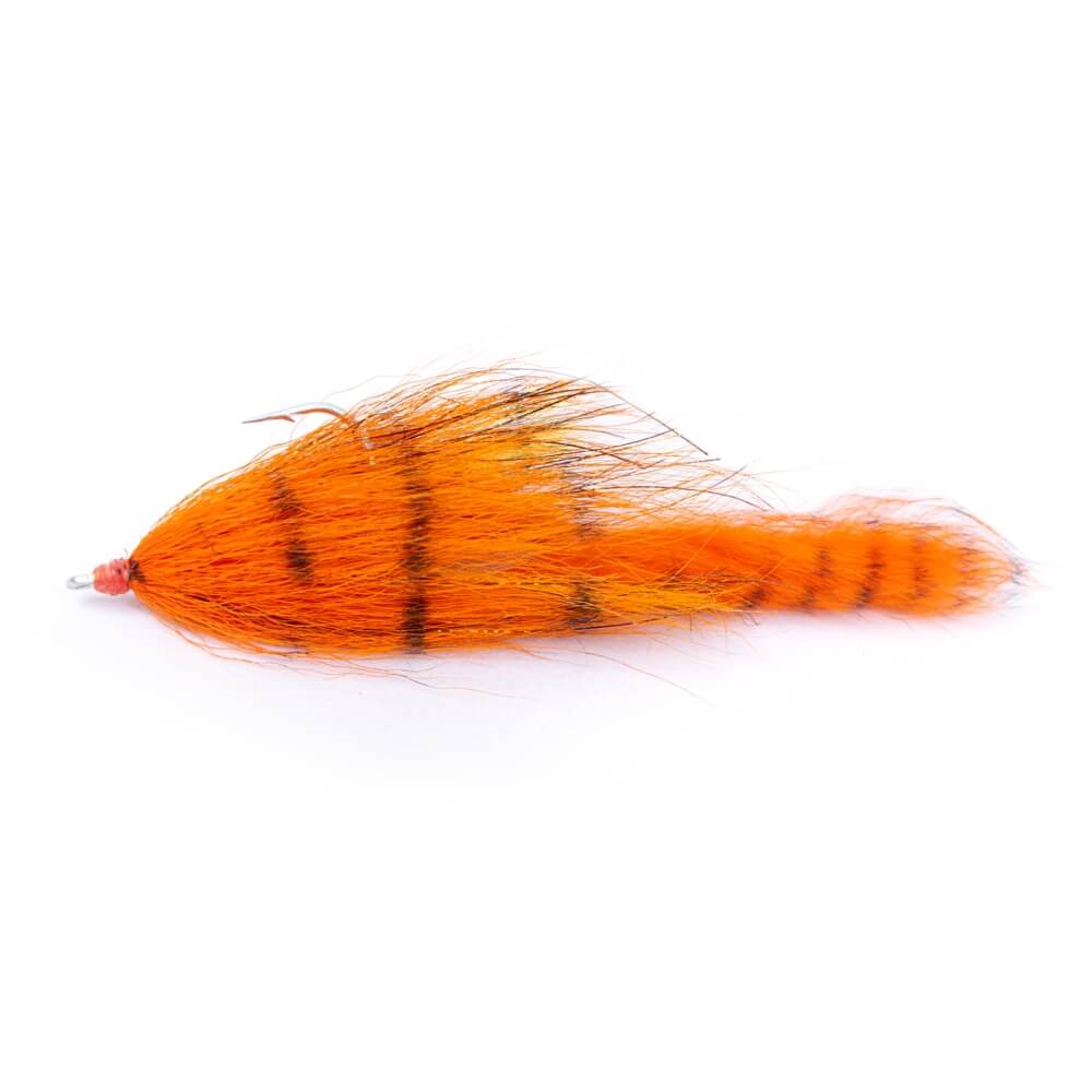 BIM Tackle Chacha Bait Trailer bei HechtundBarsch.at
