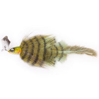 Bewertung von Robert für das Produkt Chacha Bait 30 cm | 40 g Natural Perch
