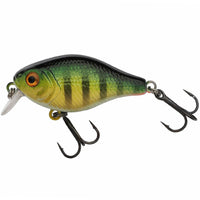 Bewertung von Alexandru-Cristian für das Produkt Pulse Fry 38 | Shallow Perch