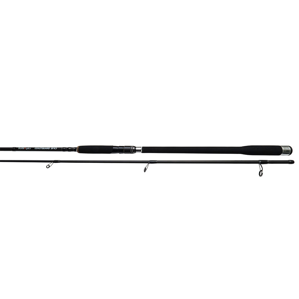 Bullseye Coastguard 310 10 45 g