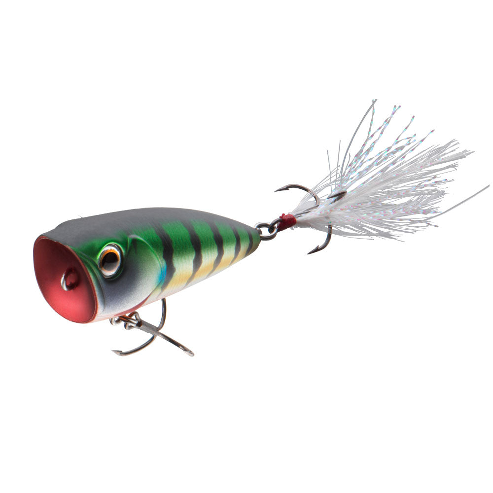 Daiwa Steez Popper 60F Matt Gill