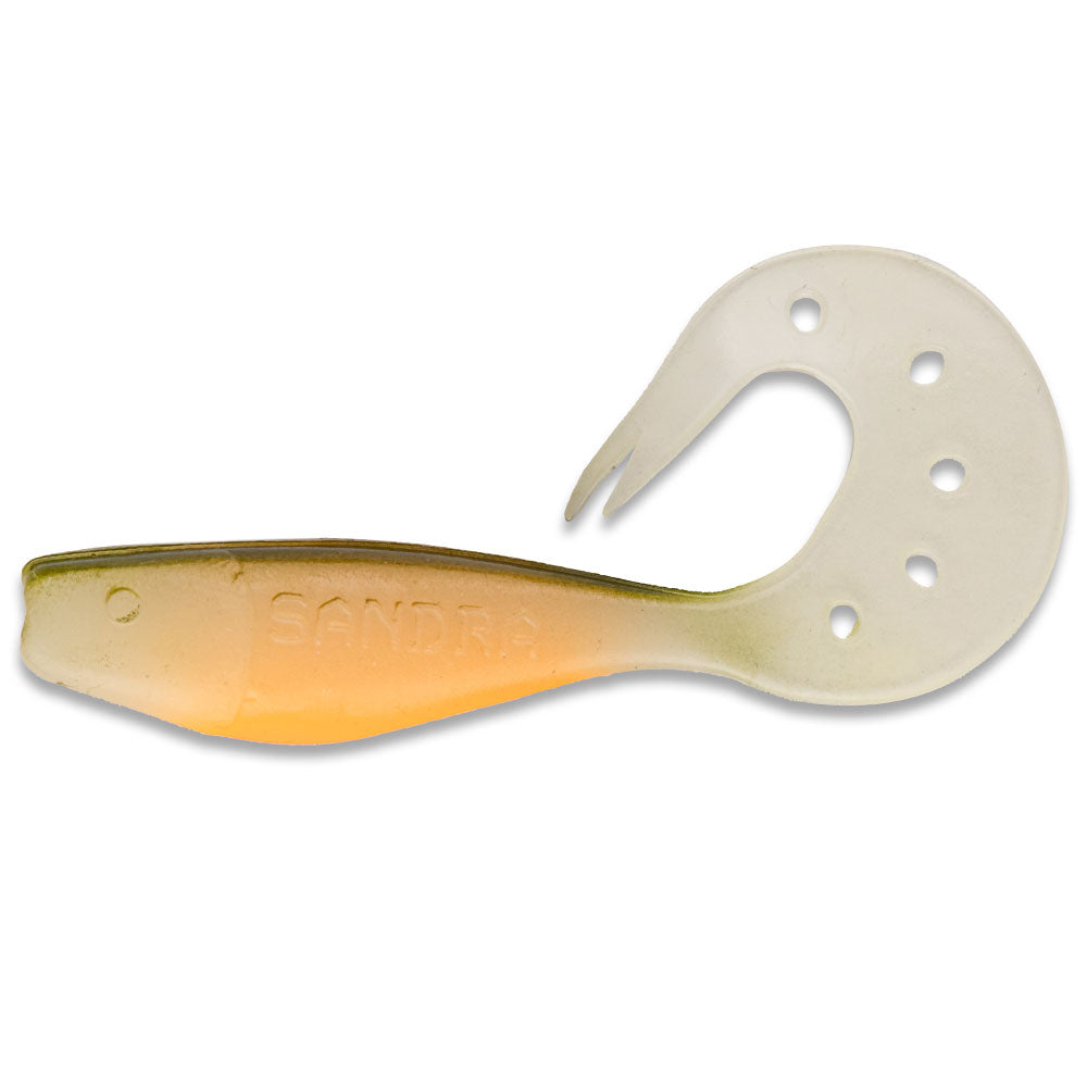 Delalande-Sandra-Ghost-Perch 9 cm / 12 cm