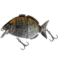 Bewertung von Anonym für das Produkt Esparrall 7,6 cm White Seabream
