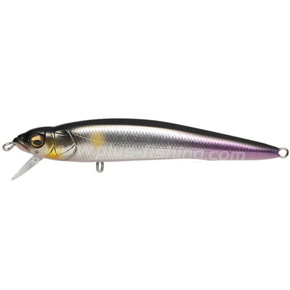 Megabass FX9 bei HechtundBarsch.at