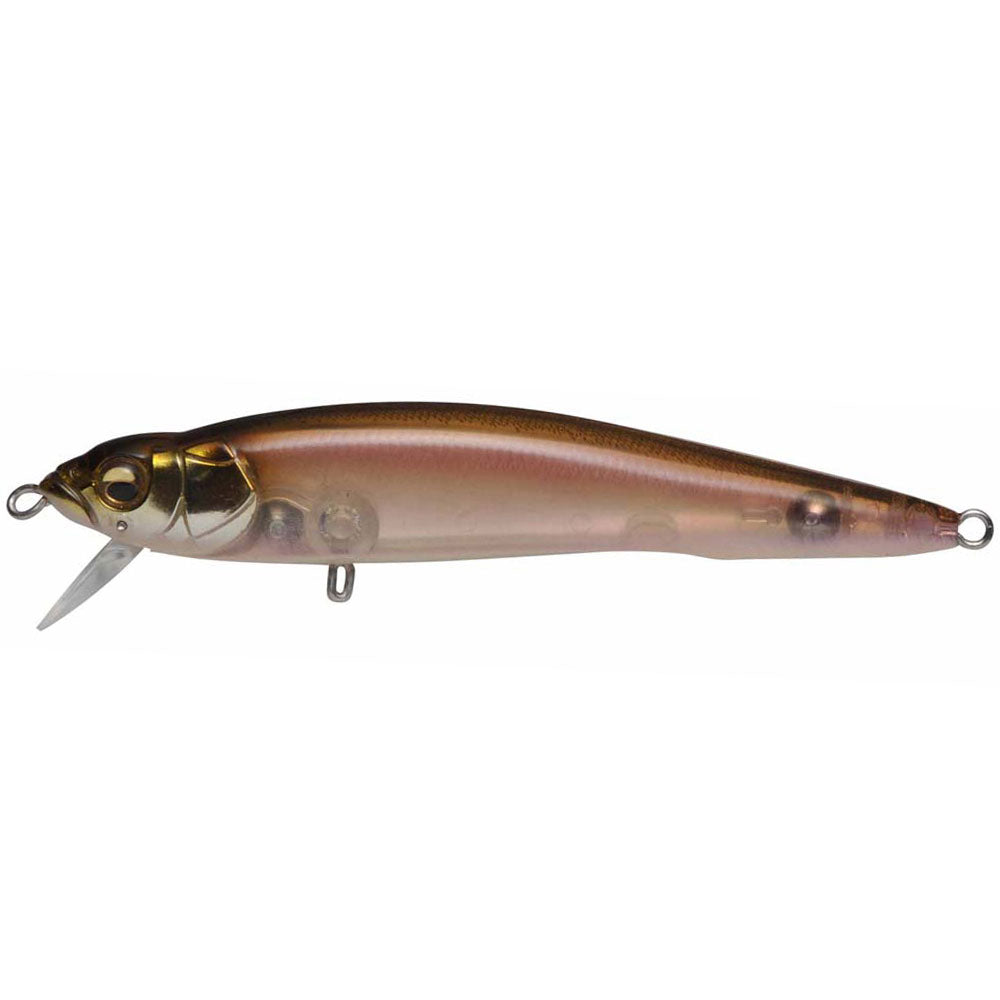Megabass FX9 bei HechtundBarsch.at