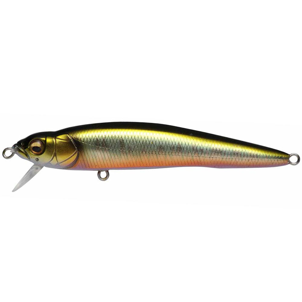 Megabass FX9 bei HechtundBarsch.at