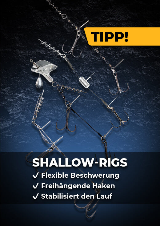 Shallow-Rigs Promotion Block