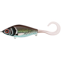 Bewertung von Moritz für das Produkt Guppie Junior 11 cm (Sinking) Midnight Shiner - Pearl White