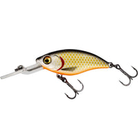 Bewertung von Anonym für das Produkt BuzzBite Crankbait 6 cm / 10 g / Official Roach