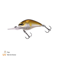 Bewertung von Jörg für das Produkt Danny 2.0 5,5 cm / 2,5 m Ayu
