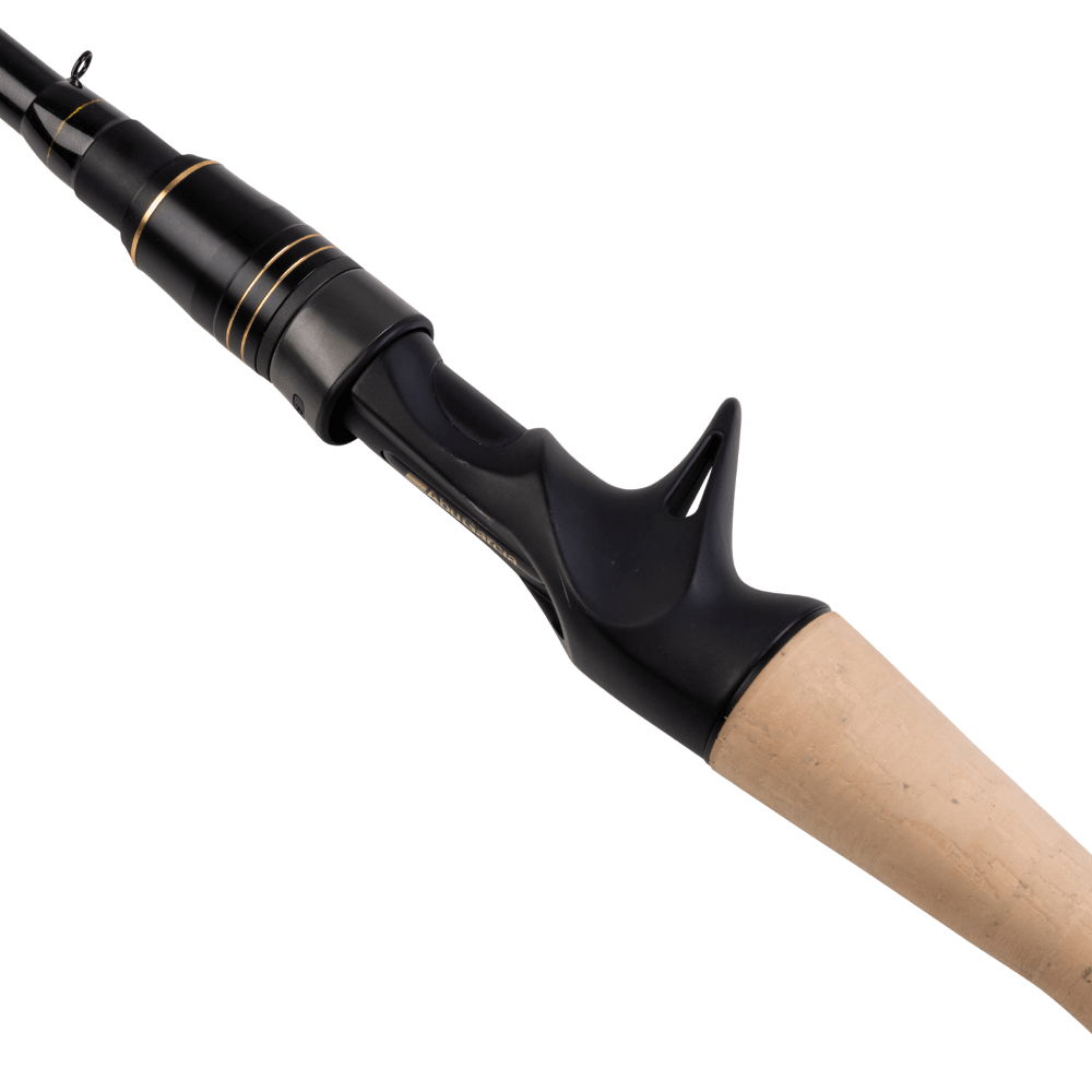 Abu Garcia RockSweeper (Casting) bei HechtundBarsch.at