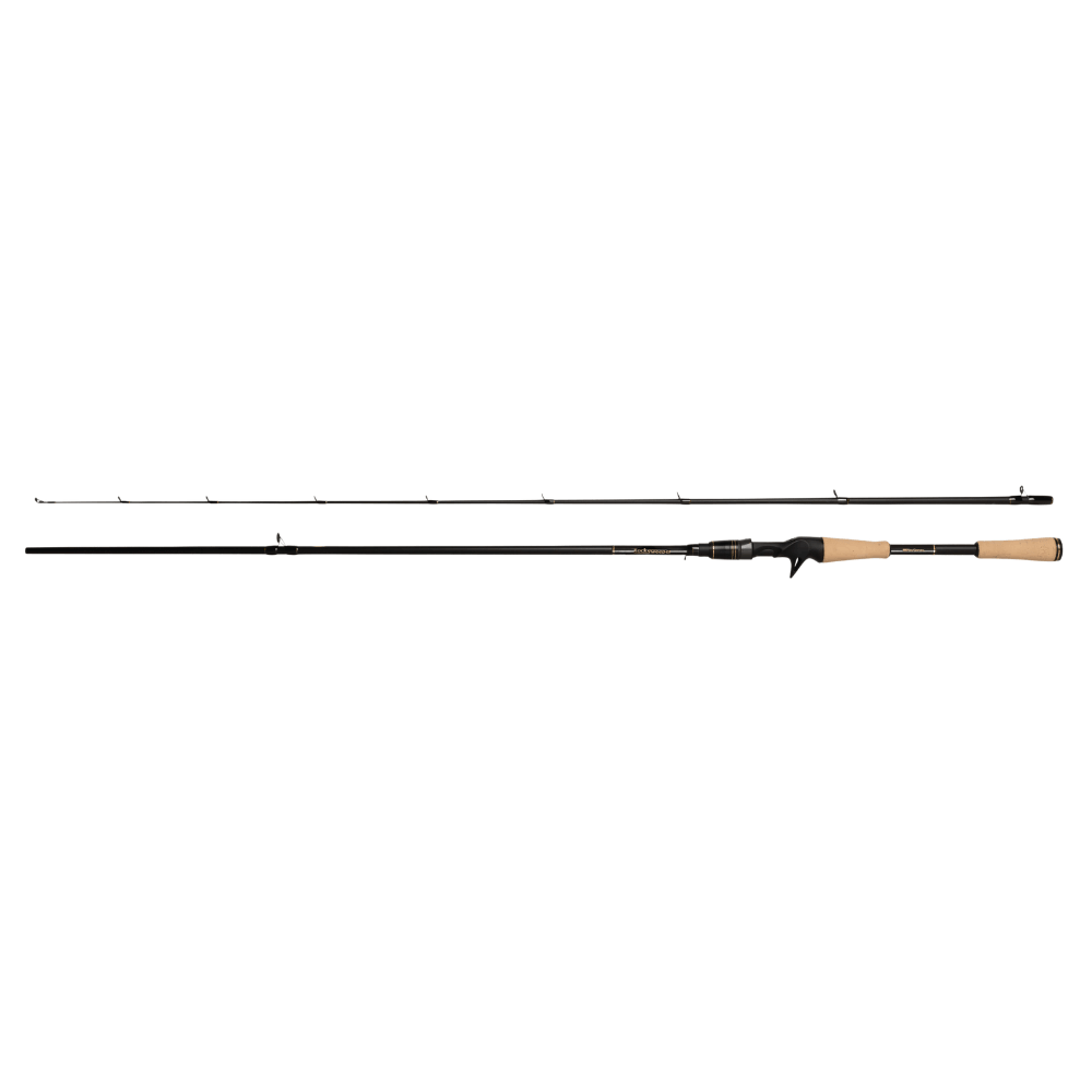 Abu Garcia RockSweeper (Casting) bei HechtundBarsch.at