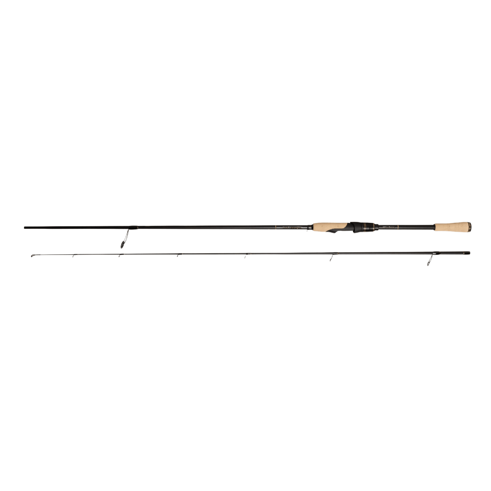 Abu Garcia RockSweeper (Spinning) bei HechtundBarsch.at