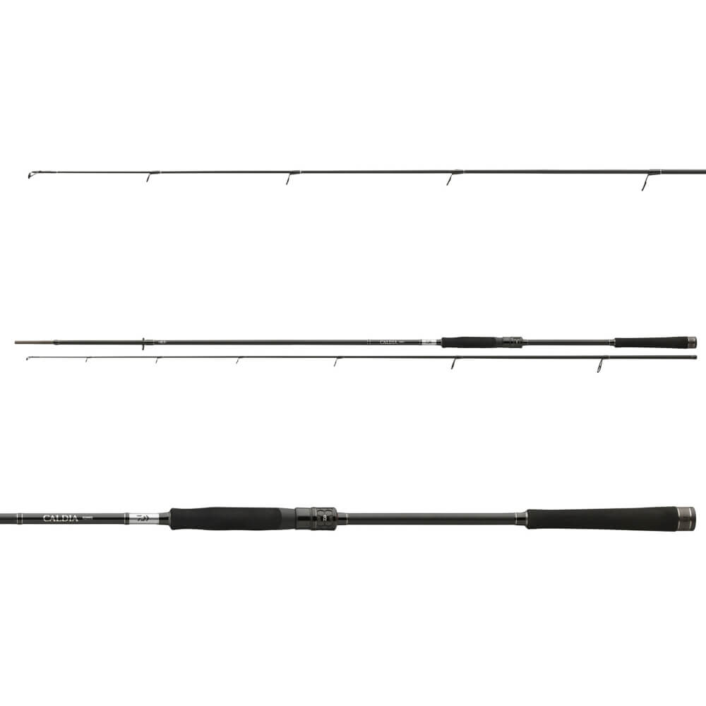 Daiwa Caldia Jiggerspin mit Griff und Spitze im Detail