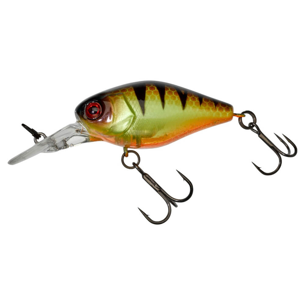 Jackall Chubby 41 MR bei HechtundBarsch.at