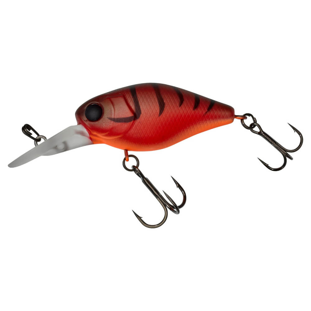 Jackall Chubby 41 MR bei HechtundBarsch.at