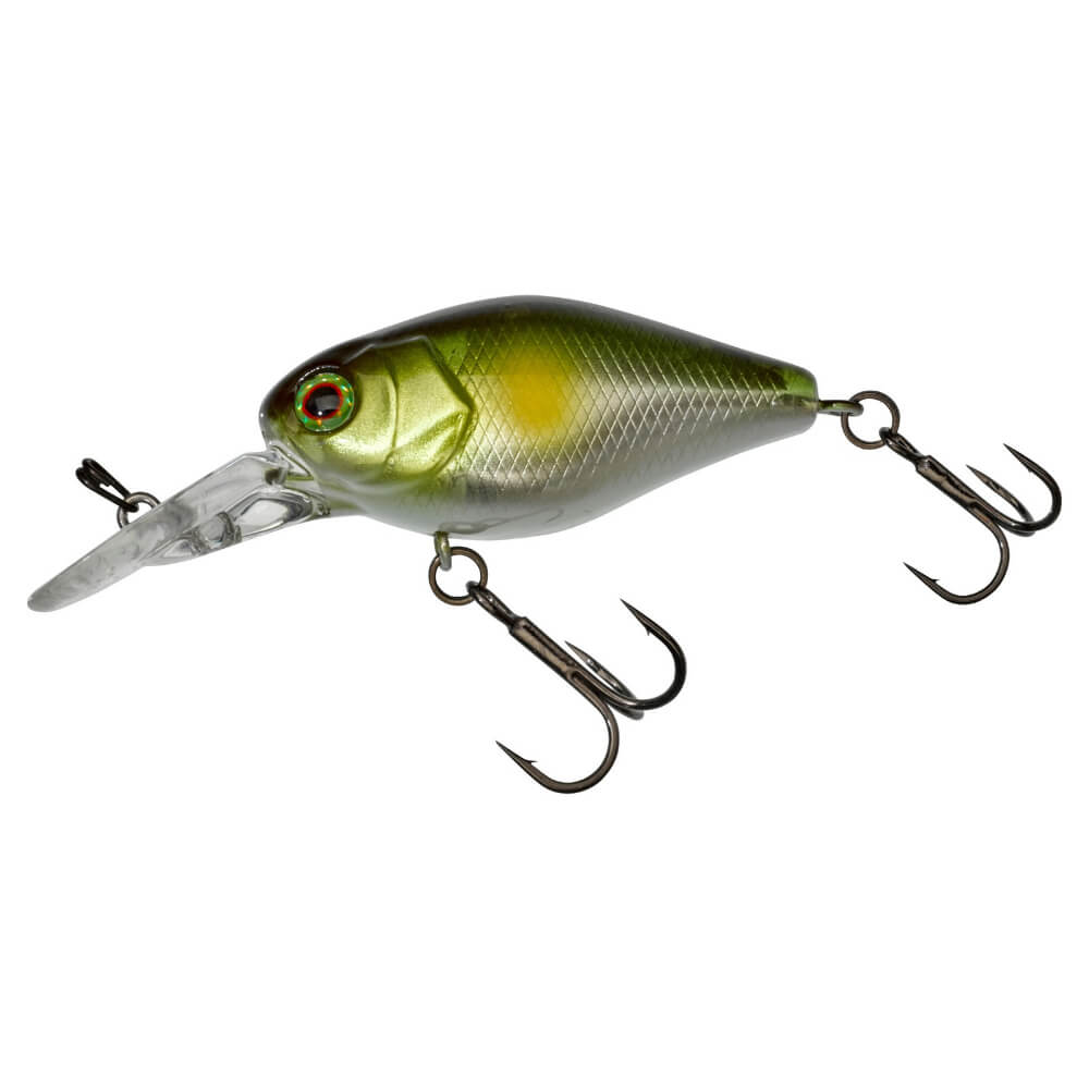 Jackall Chubby 41 MR bei HechtundBarsch.at