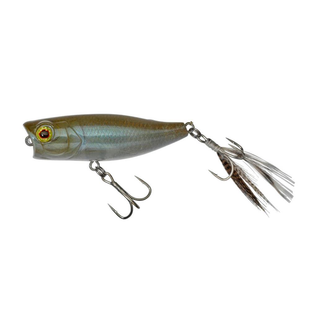 Jackall Chubby Popper 42 bei HechtundBarsch.at
