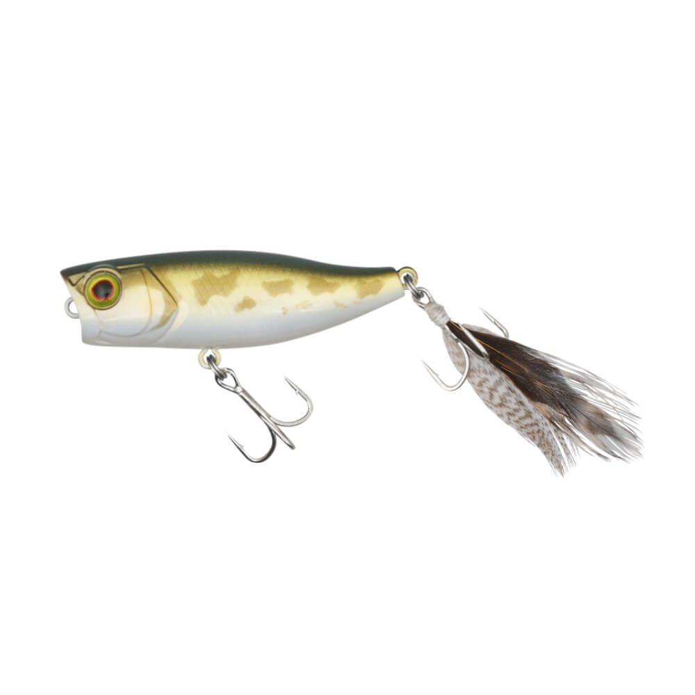 Jackall Chubby Popper 42 bei HechtundBarsch.at