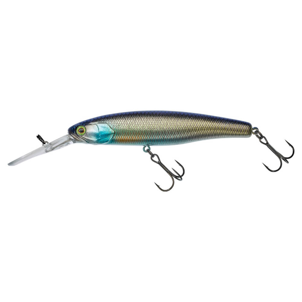 Jackall DD Arnaud 100 SP bei HechtundBarsch.at