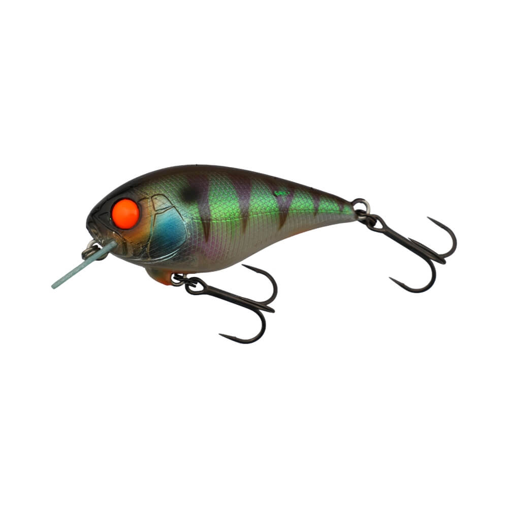 Jackall Master Crank 47 SR Magic Green Perch
