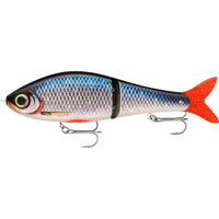 Bewertung von Frank für das Produkt Super Shadow Rap Glide 11 cm / Spawning Roach