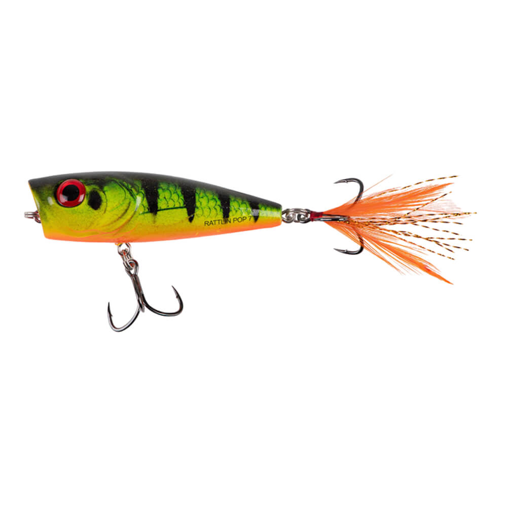 Salmo Rattlin' Pop bei HechtundBarsch.at