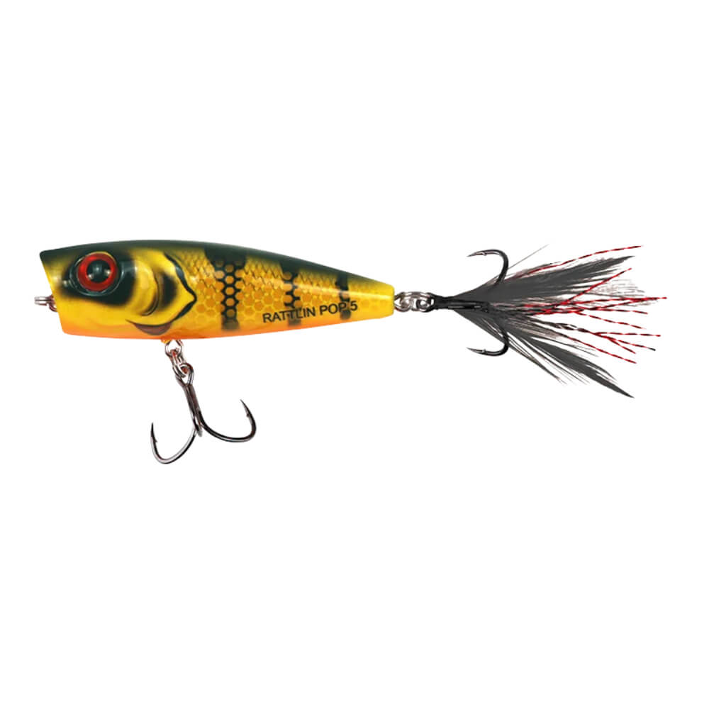 Salmo Rattlin' Pop bei HechtundBarsch.at