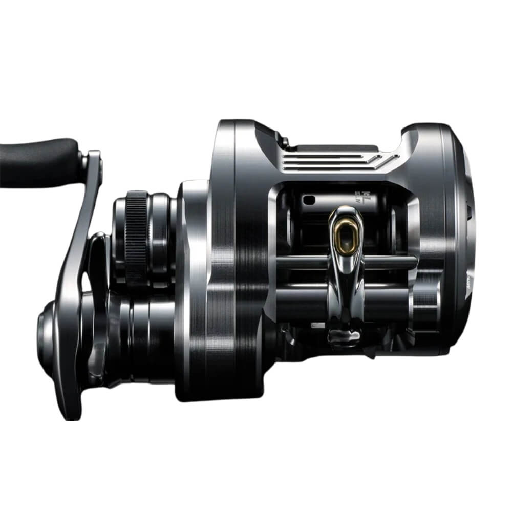 Shimano Calcutta Conquest DC A bei HechtundBarsch.at