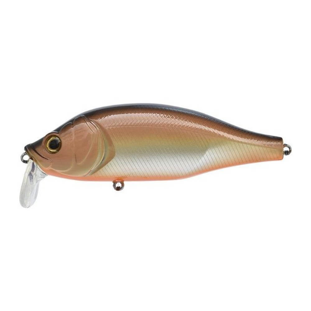 Xorus Dango 120 SR bei HechtundBarsch.at