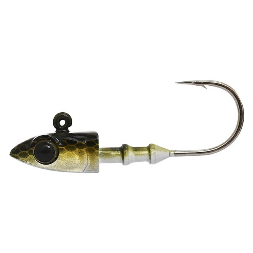 Xorus Ultimate Eel Evo bei HechtundBarsch.at