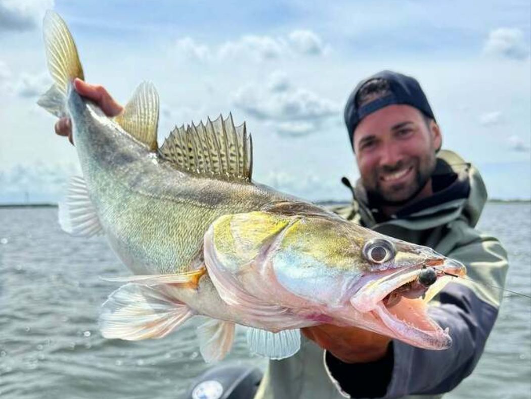 zanderrute-angelrute-zum-zanderangeln