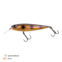 Bewertung von Jörg für das Produkt Dundee 5 m / Spotted Bullhead